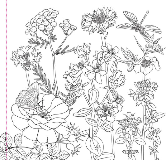 WILDFLOWERS ARTIST'S COLORING BO