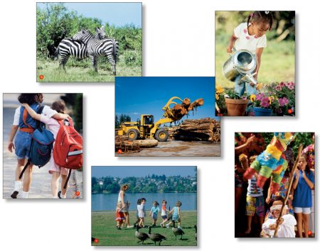 LANGUAGE CARDS BEGINNERS