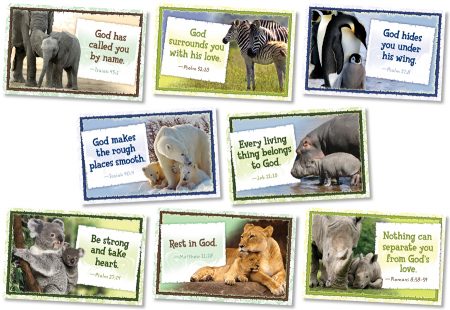 GOD CARES FOR HIS CHILDREN BBS