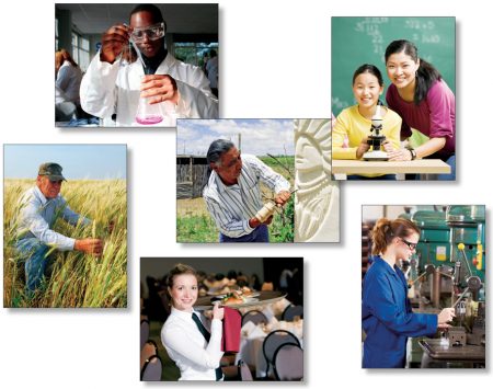 OCCUPATIONS AND CAREER LANG