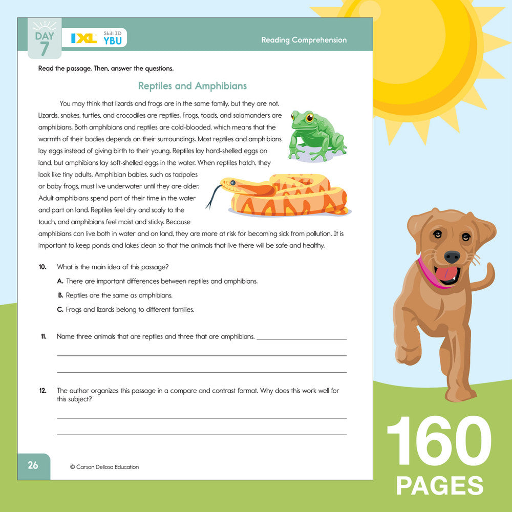 SUMMER BRIDGE 4-5 (2015)