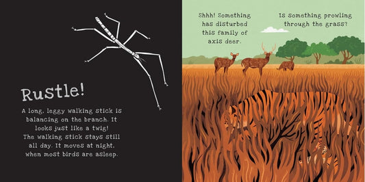 SECRETS OF ANIMAL CAMOUFLAGE