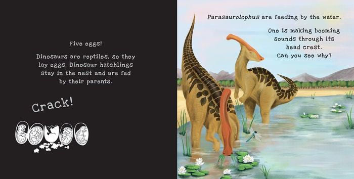 DINOSAURS SHINE-A-LIGHT BOOK
