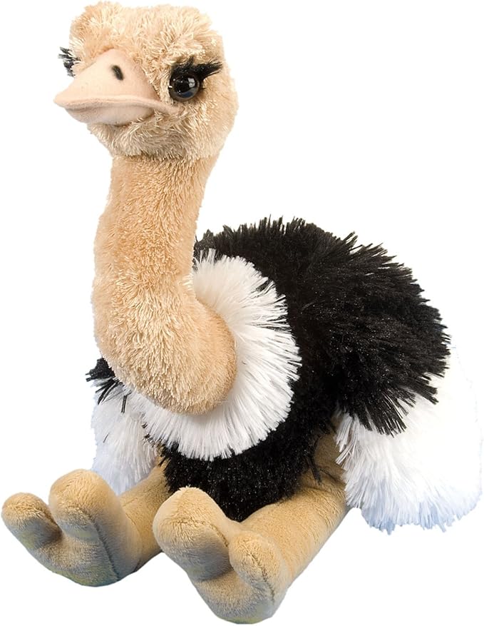 OSTRICH