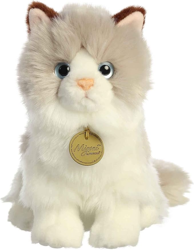 RAGDOLL CAT