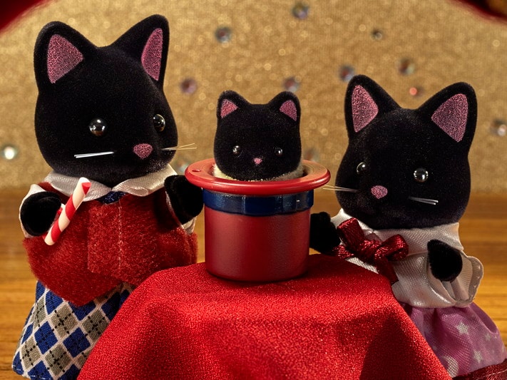 MIDNIGHT CAT FAMILY