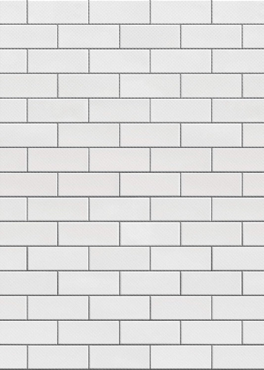 WHITE SUBWAY TILE BETTER THAN P