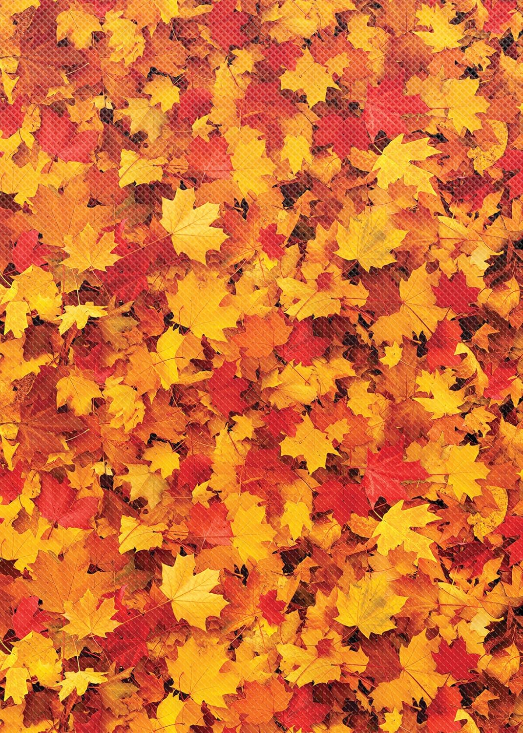 FALL LEAVES BETTER THAN PAPER