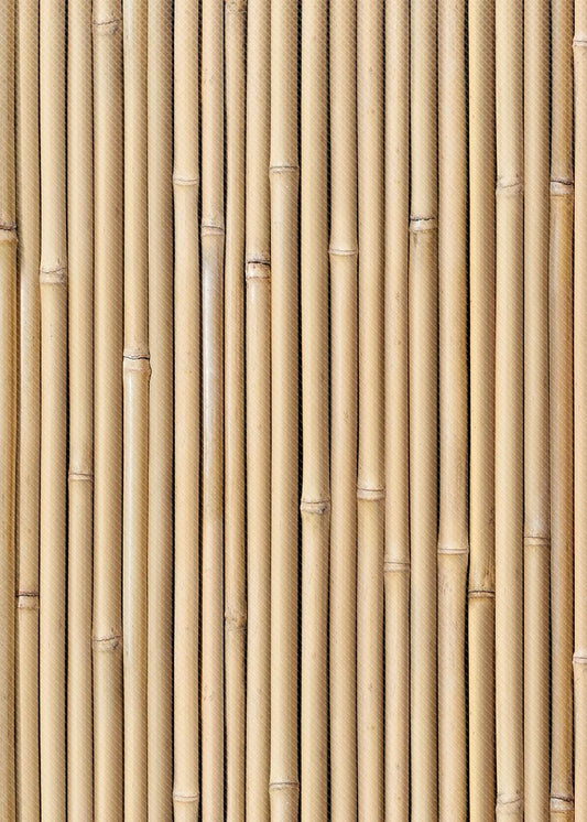 BAMBOO BETTER THAN PAPER