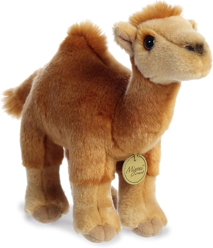 DROMEDARY CAMEL