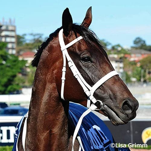 WINX