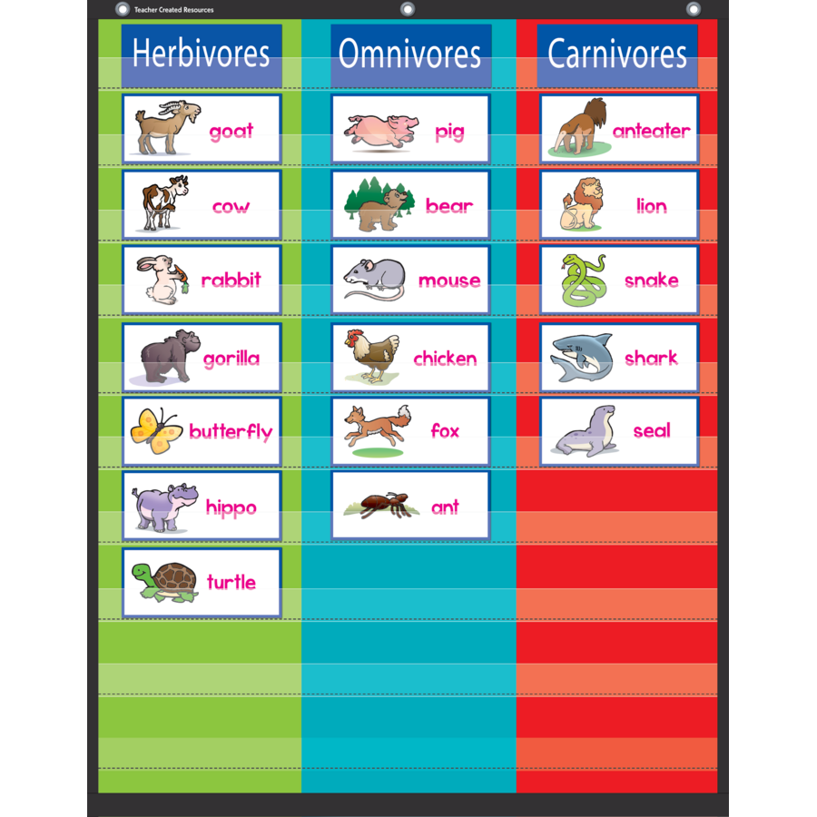 3 COLUMN POCKET CHART