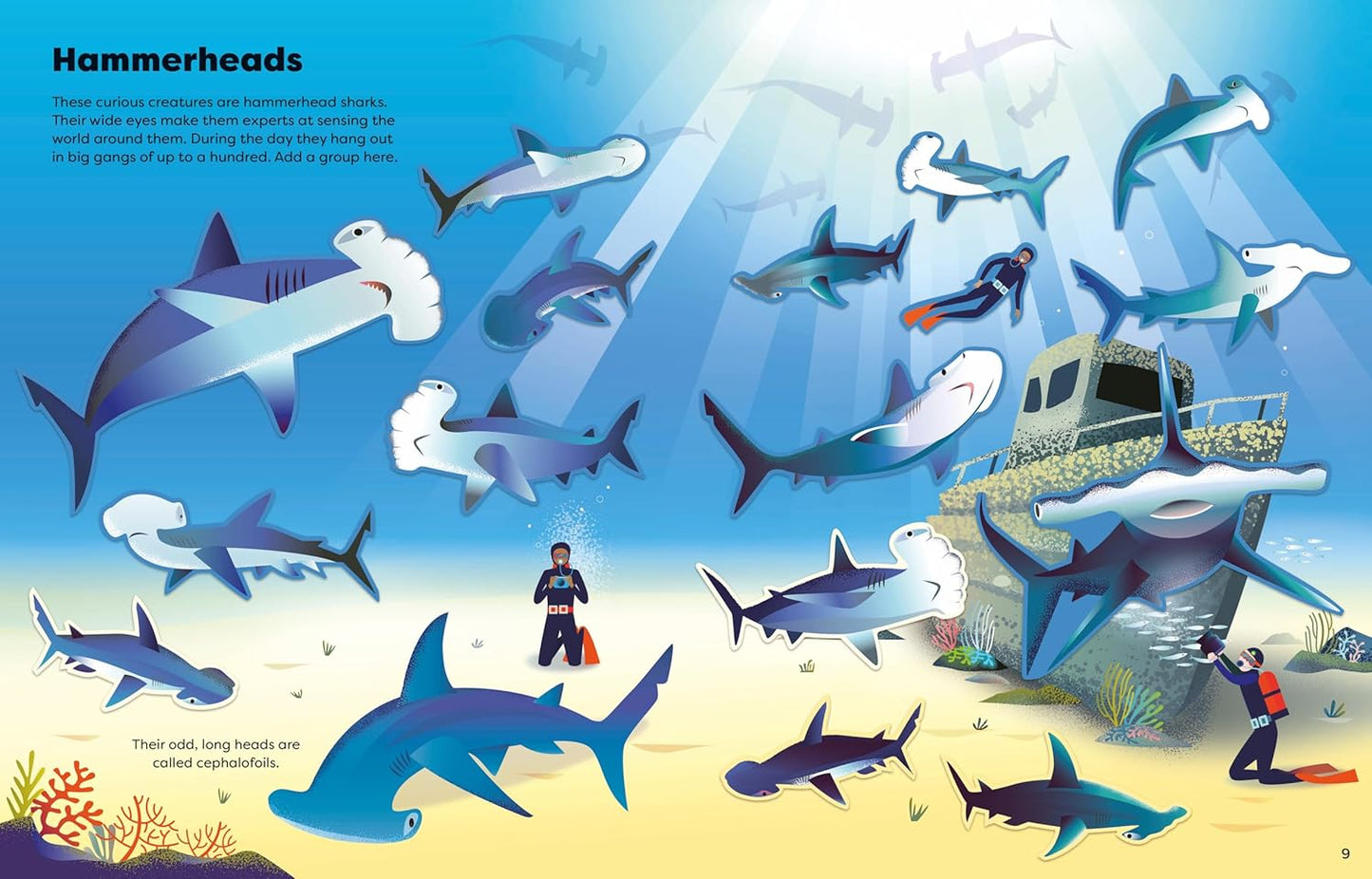 BIG STICKER BOOK OF SHARKS