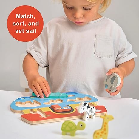 SHAPE SORTING ARK TRAY