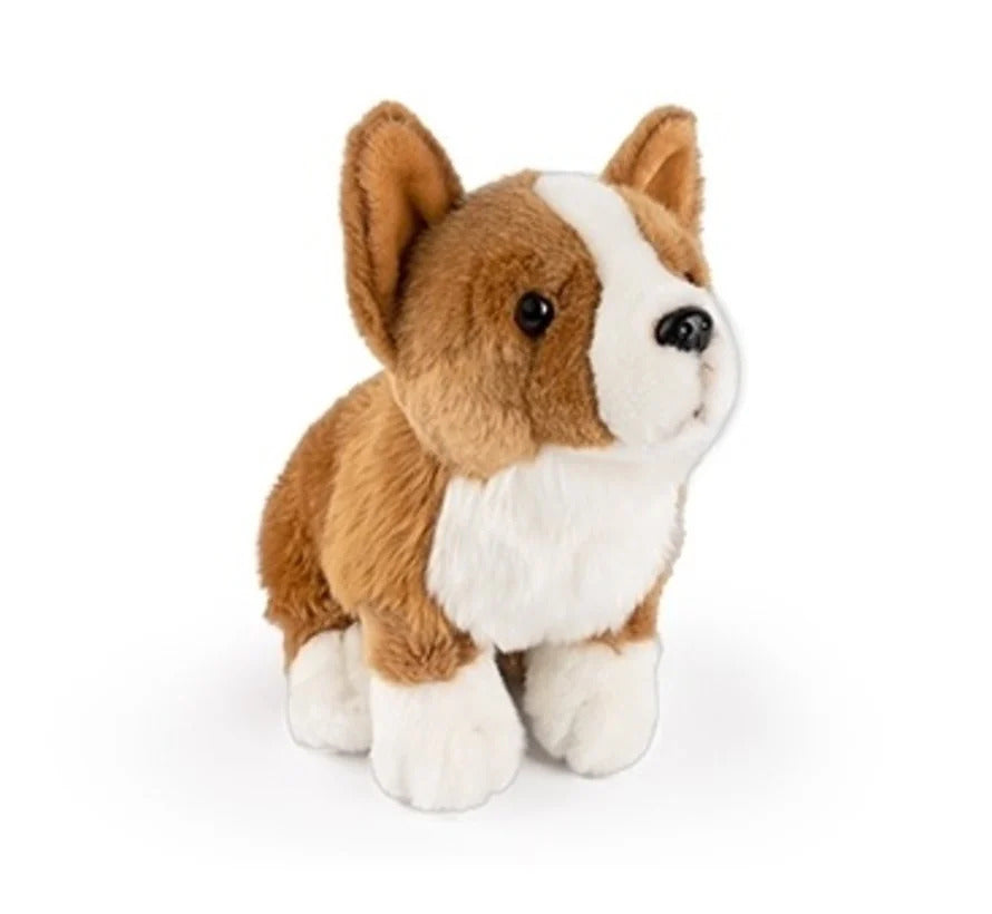 SITTING CORGI