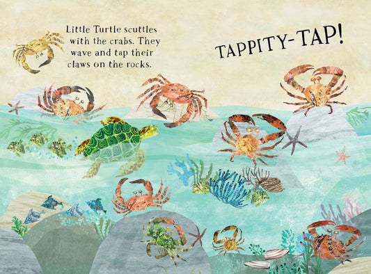 LITTLE TURTLES BOOK OF THE BLUE