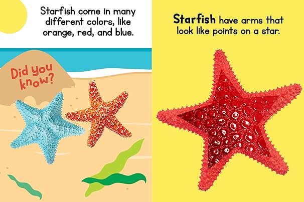 OCEAN FRIENDS