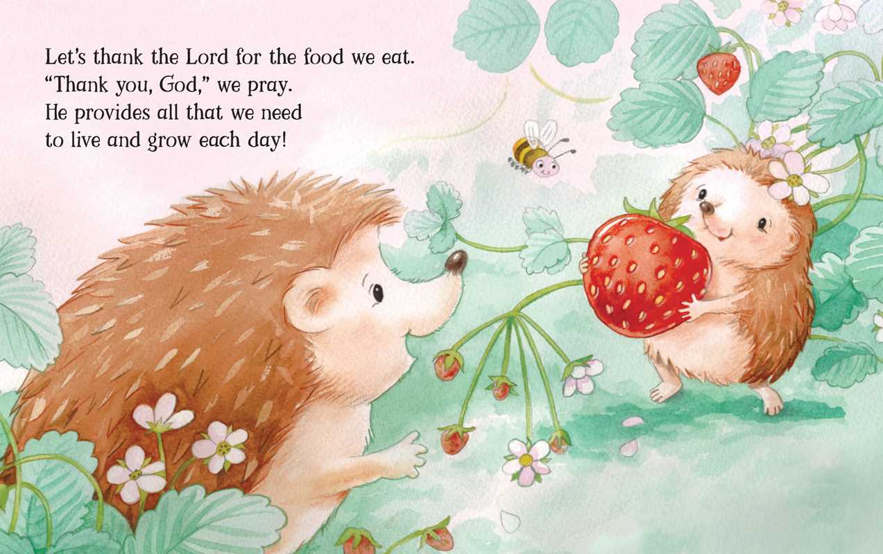 God Gave Me You by: Board Books; 20 pages / English