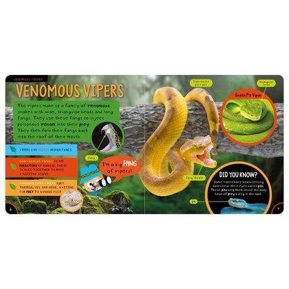 Non-Fiction Book Amazing Snakes