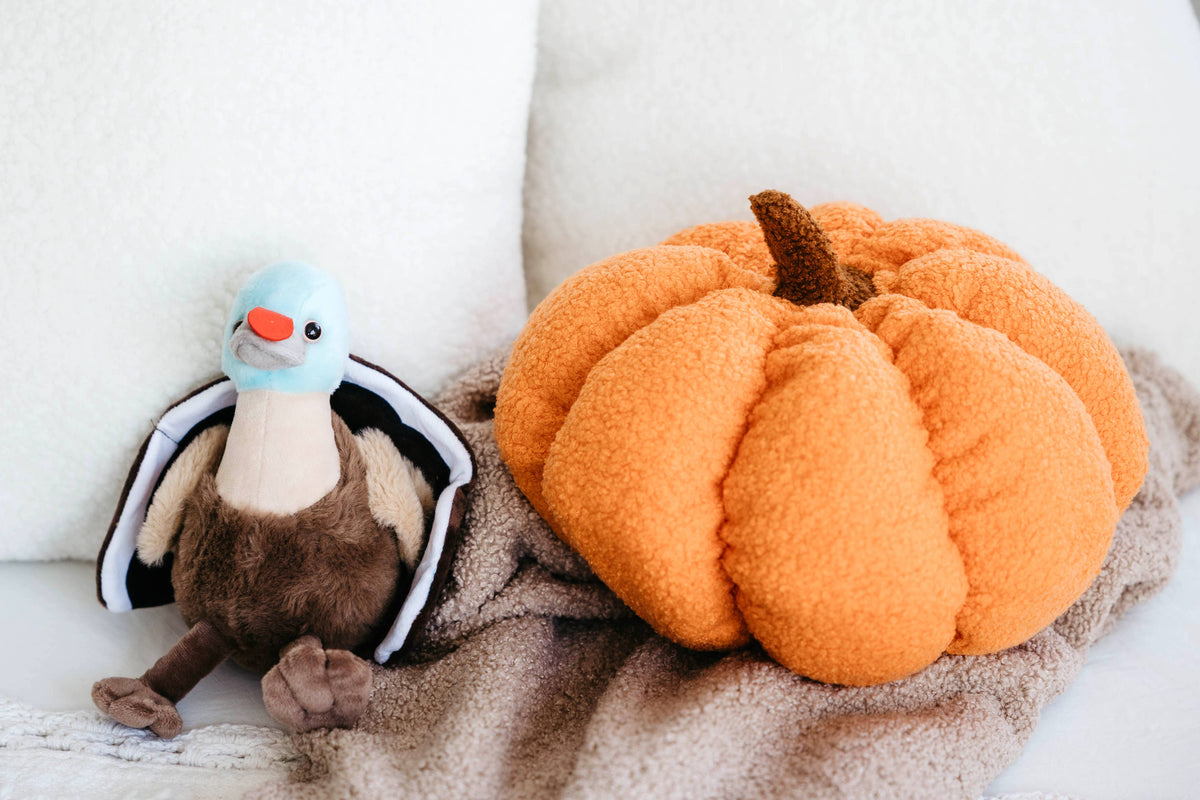 8" (18cm) Wild Onez Small Turkey Thanksgiving Gift