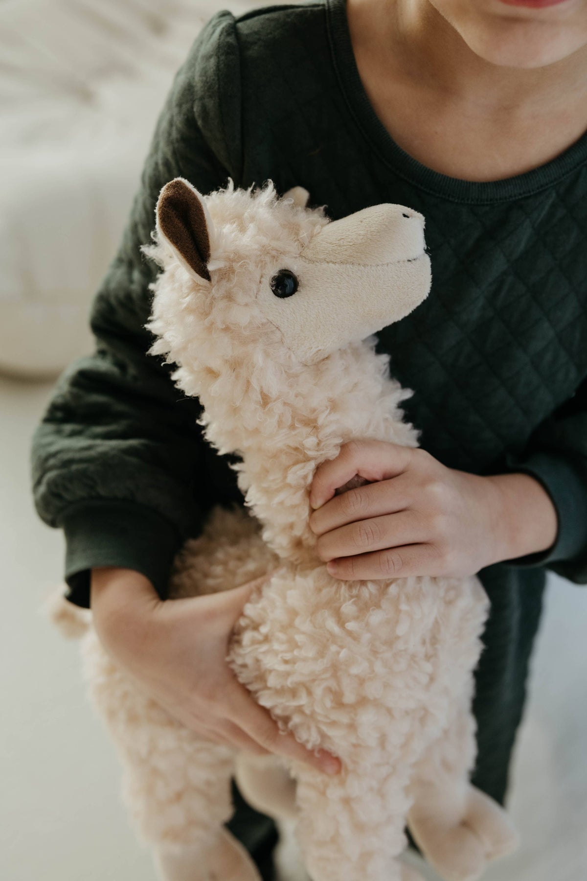 14" (35cm) Wild Onez Alpaca Wild Life