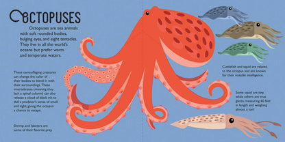 Panoramic Pop-Ups: Ocean by David Hawcock: Hardcover; 20 pages / English