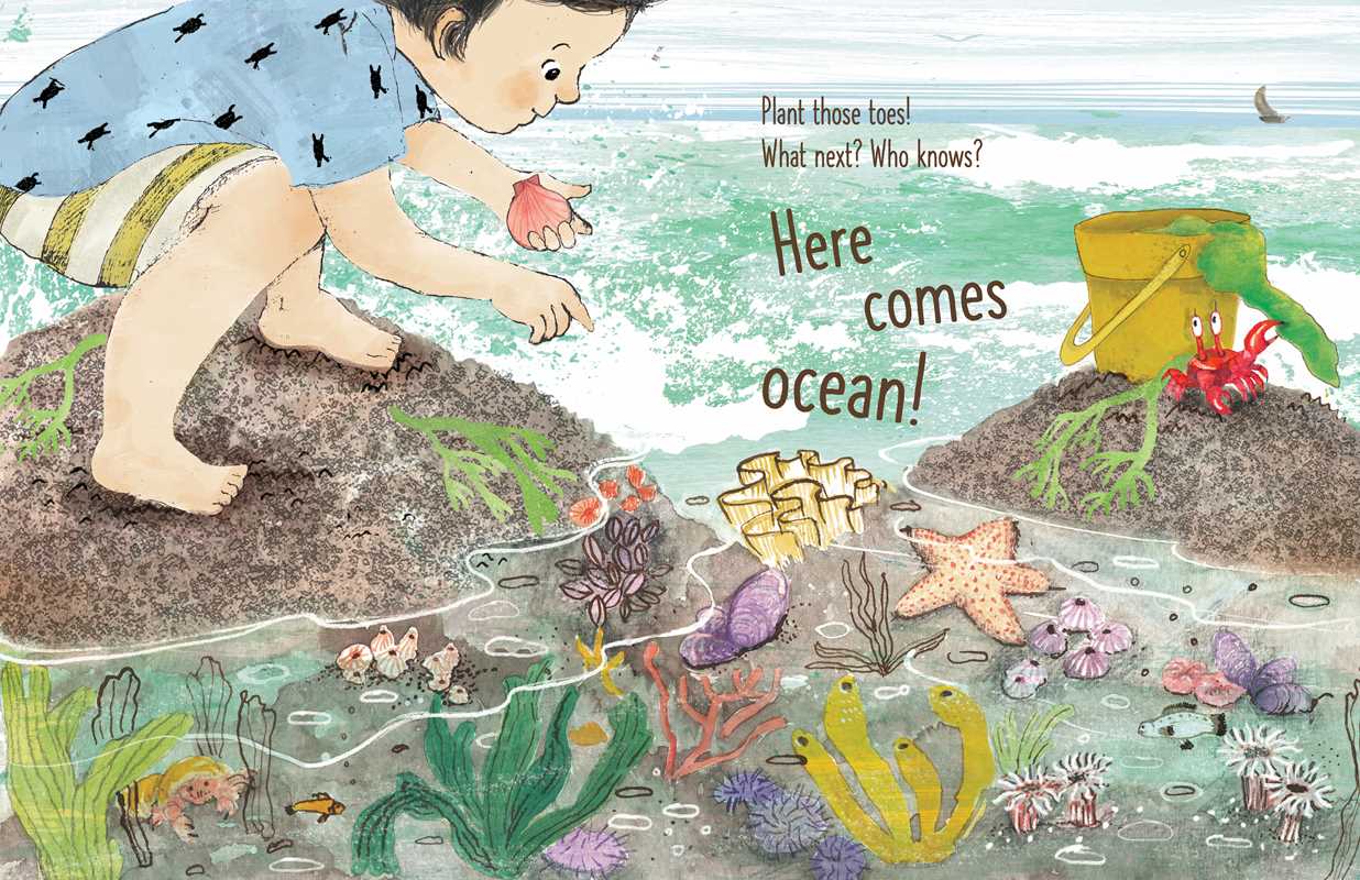 Here Comes Ocean by Meg Fleming: Hardcover; 40 pages / English