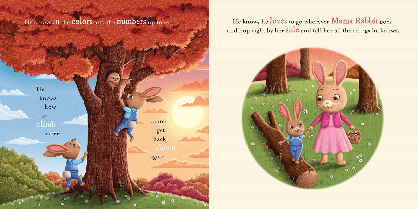 Do You Know How Much I Love You?: Padded Board Book by Em Bruce: Board Books; 22 pages / English