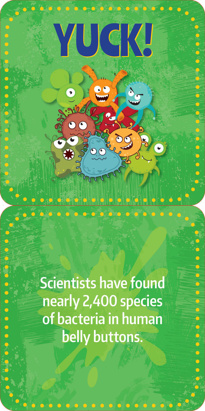 GROSS FACTS LUNCH BOX NOTES