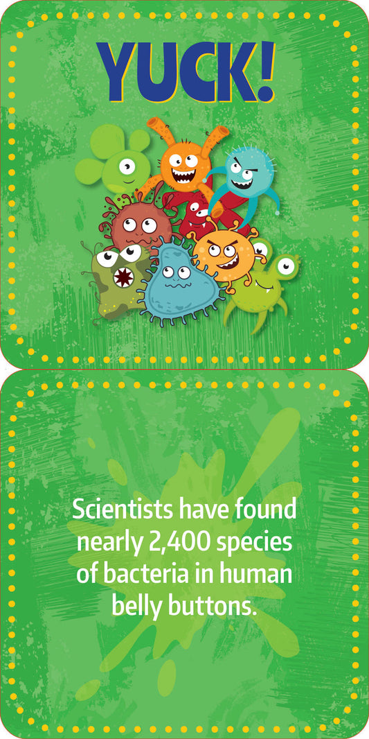 GROSS FACTS LUNCH BOX NOTES