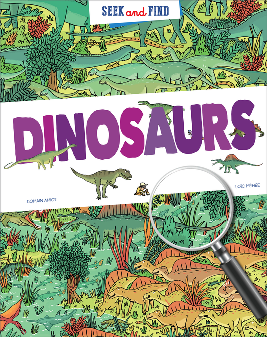 DINOSAURS SEEK AND FIND BOOK