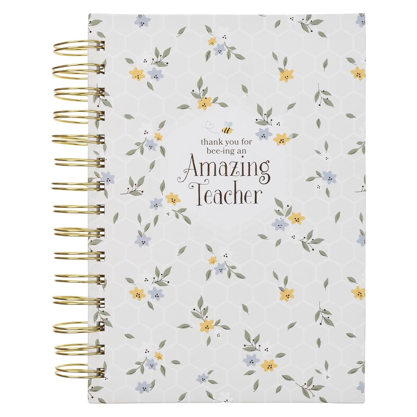 AMAZING TEACHER