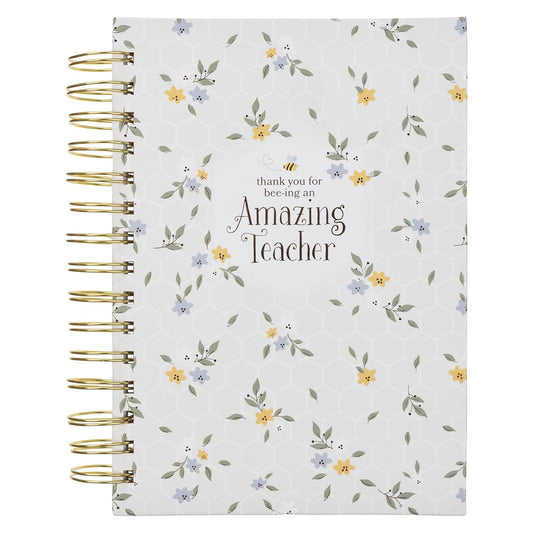 AMAZING TEACHER