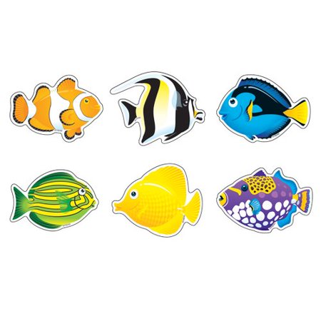 FISH MINI VARIETY