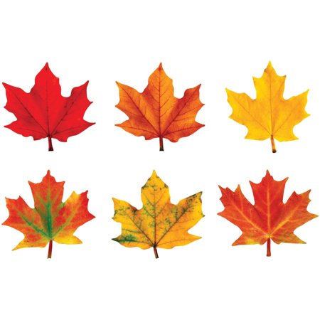 MAPLE LEAVES