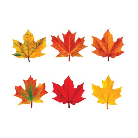 MAPLE LEAVES MINI