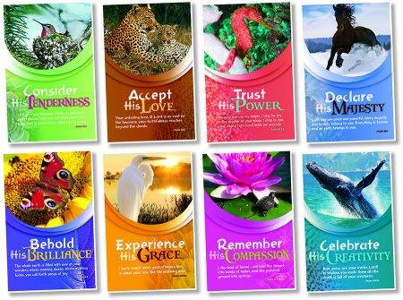 NATURE GLIMPSES OF GOD BBSET
