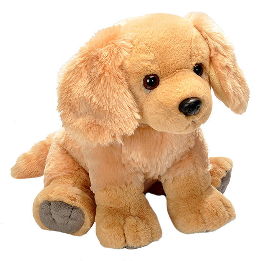 GOLDEN RETRIEVER PET SHOP