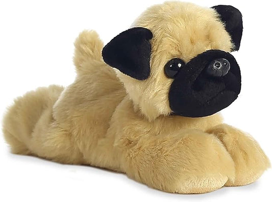 MR. PUGSTER