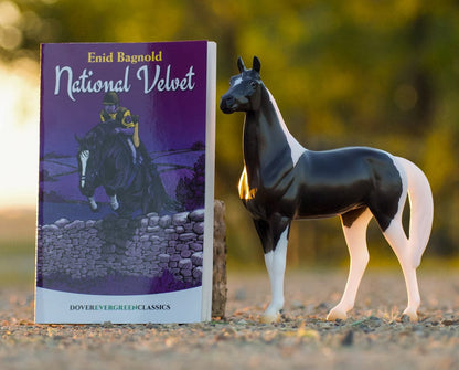 NATIONAL VELVET AND BOOK