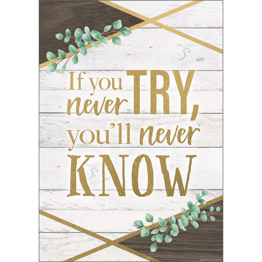 IF YOU NEVER TRY POSTER