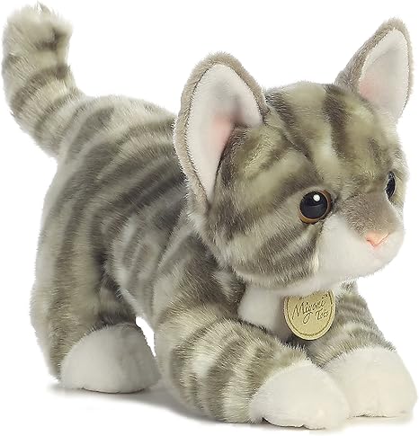 GREY TABBY KITTEN