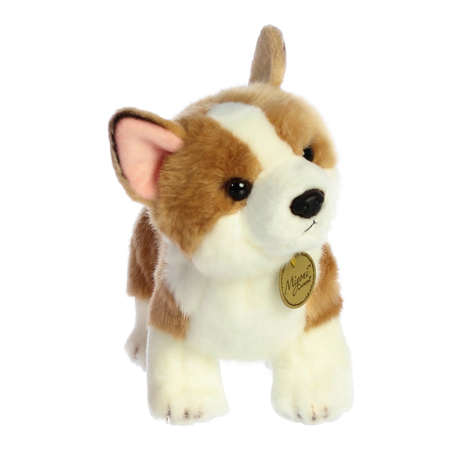 CORGI