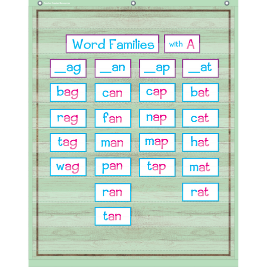 10 POCKET POCKET CHART MINT