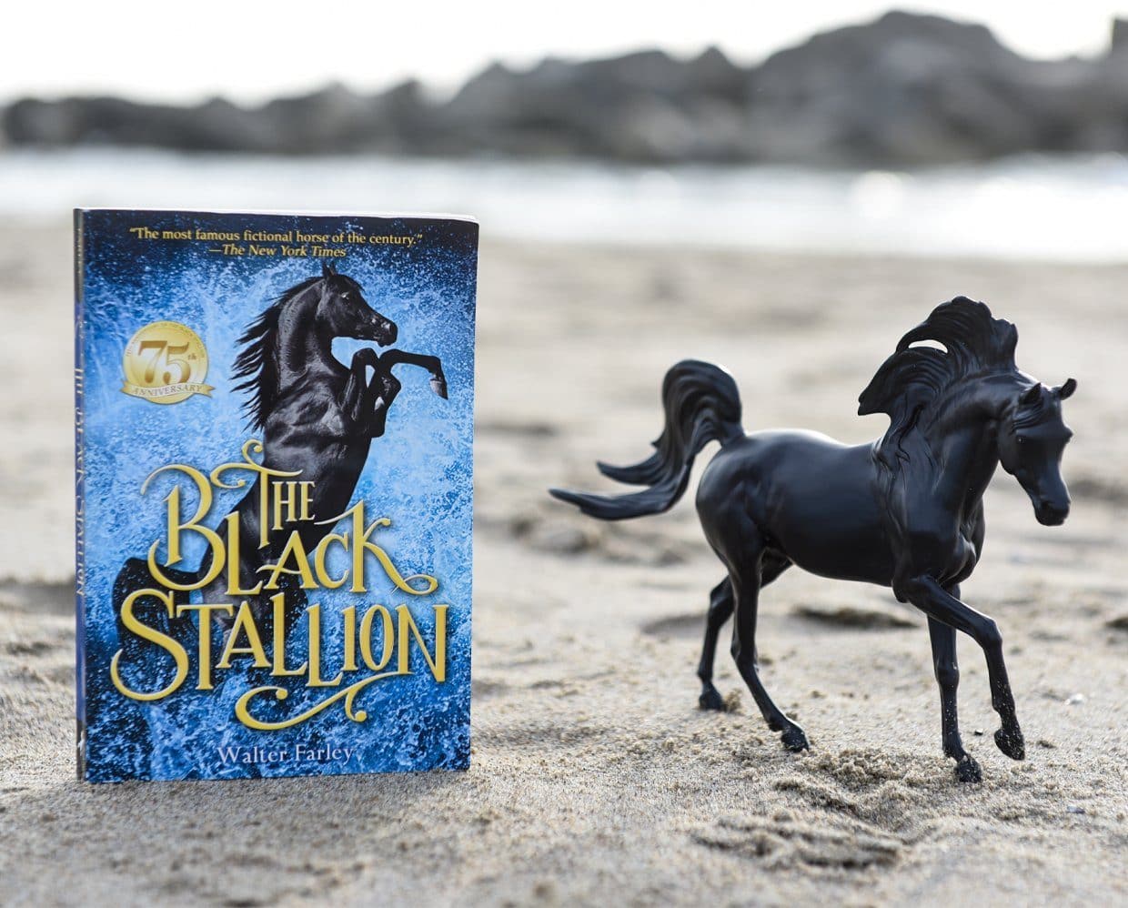 THE BLACK STALLION HORSE/BOOK SE