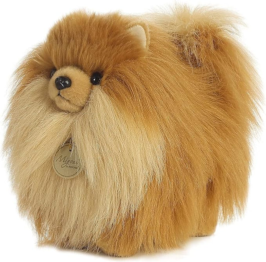 POMERANIAN