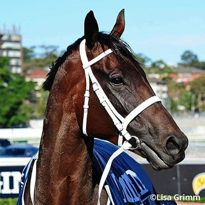 WINX