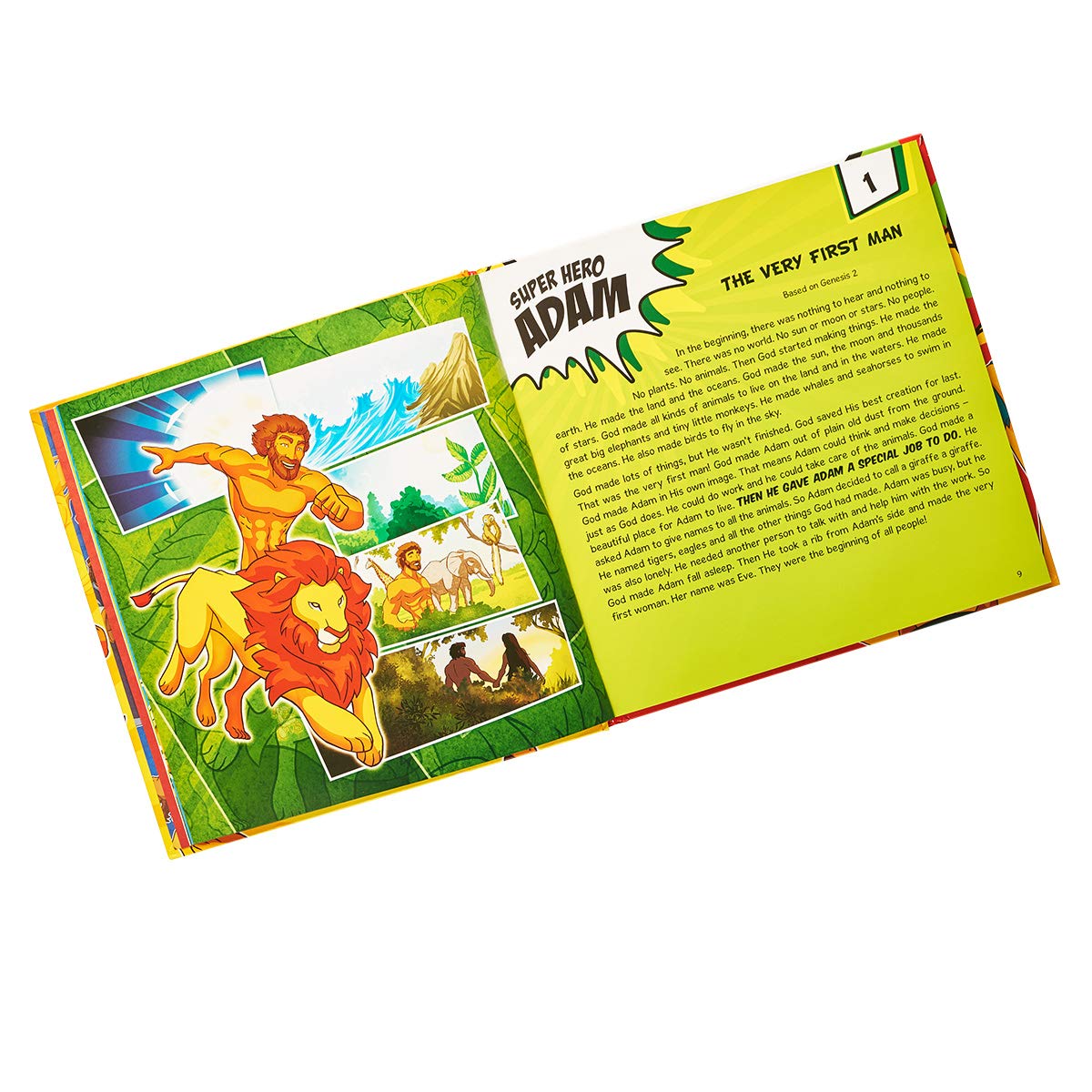 SUPER HEROES  (BIBLE)