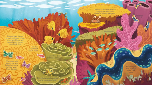 LOOK INSIDE SEAS AND OCEANS
