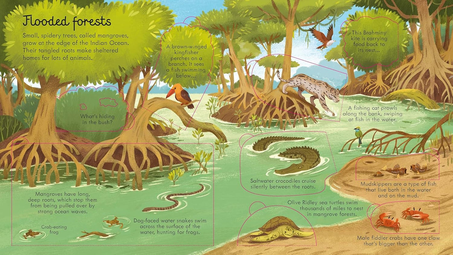 LOOK INSIDE SEAS AND OCEANS